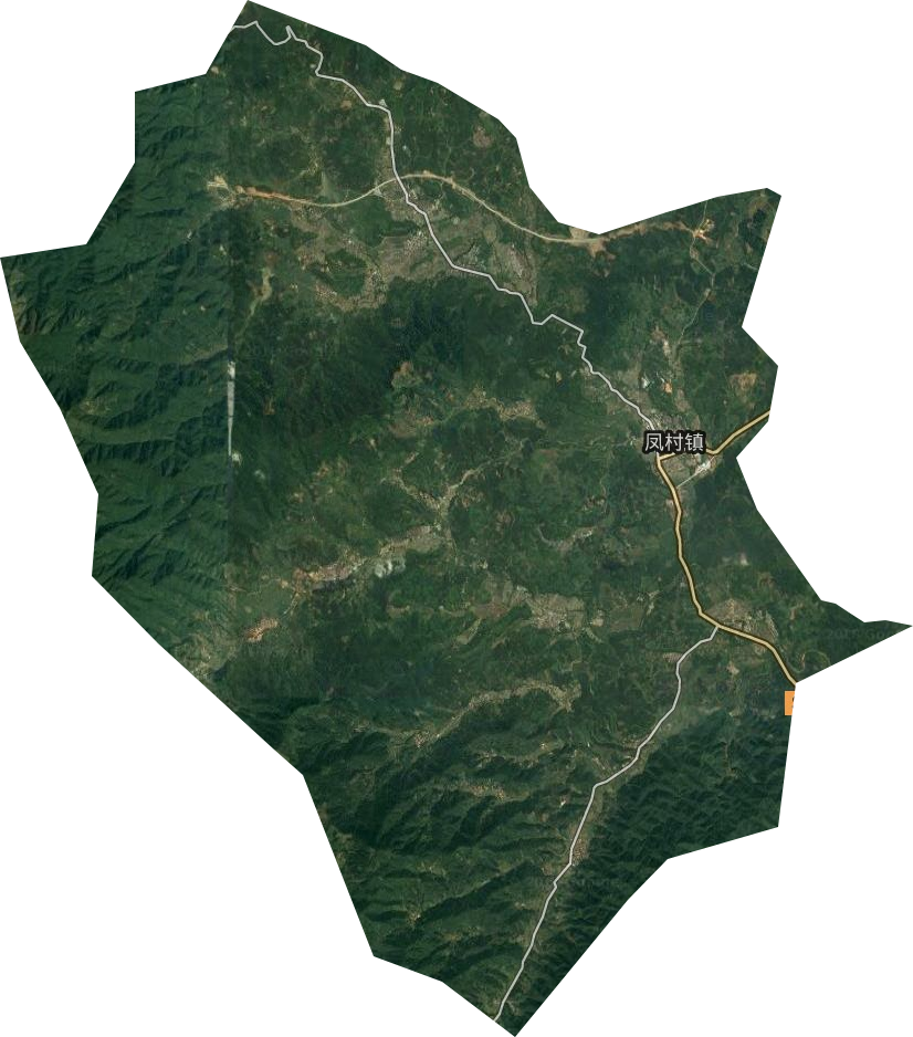 凤村镇卫星图