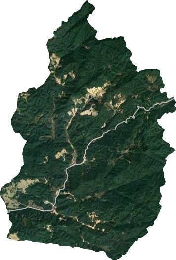 龙门县密溪林场卫星图