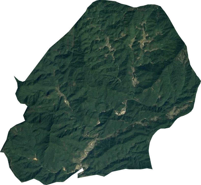 丰溪林场卫星图