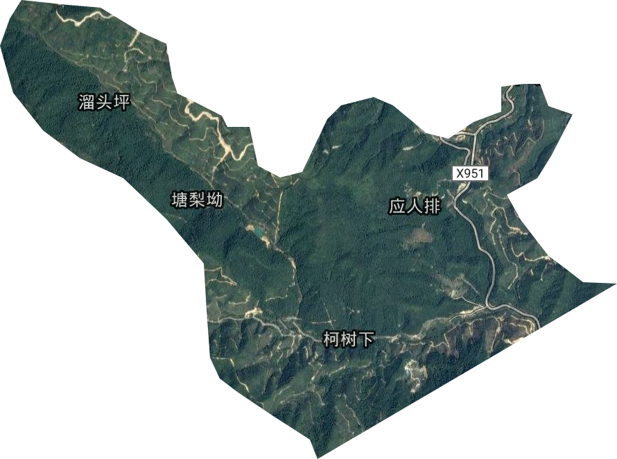 洲瑞林场卫星图