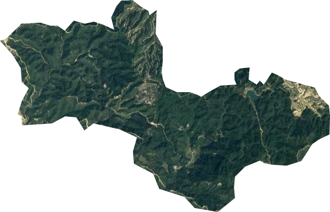 大埔林场卫星图