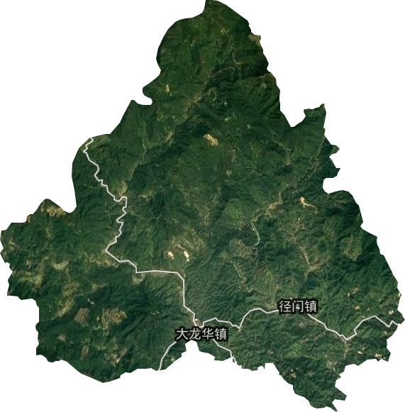 大龙华镇卫星图