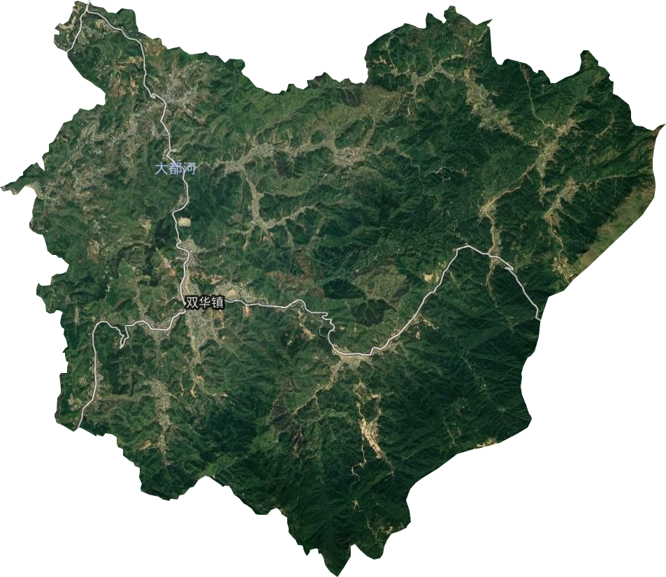 双华镇卫星图