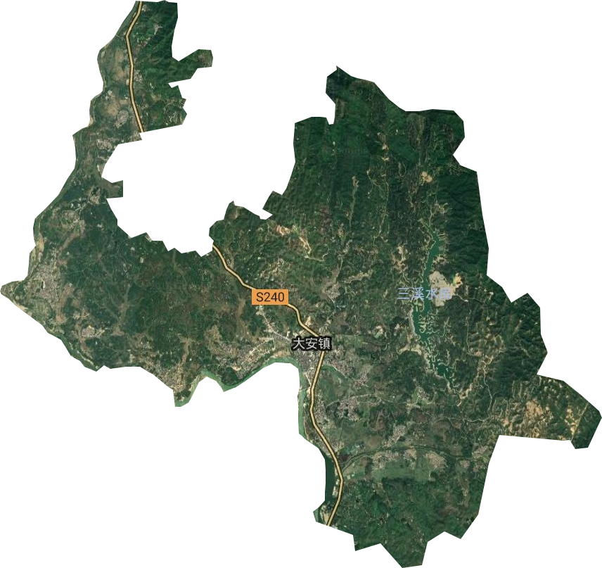 大安镇卫星图