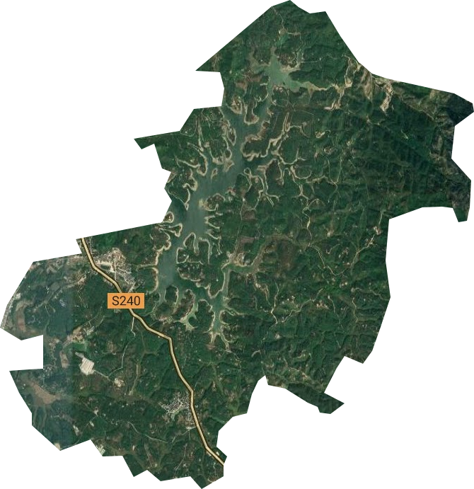 大安农场卫星图