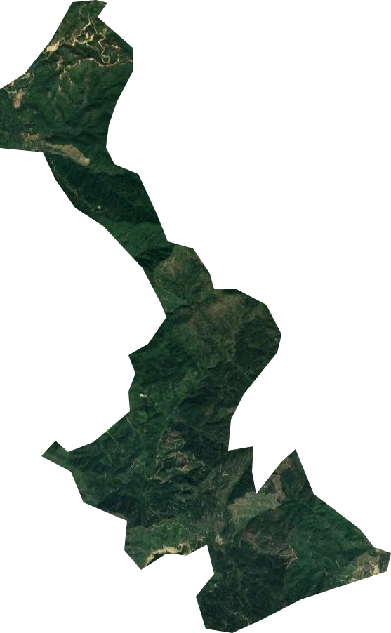 罗经嶂林场卫星图