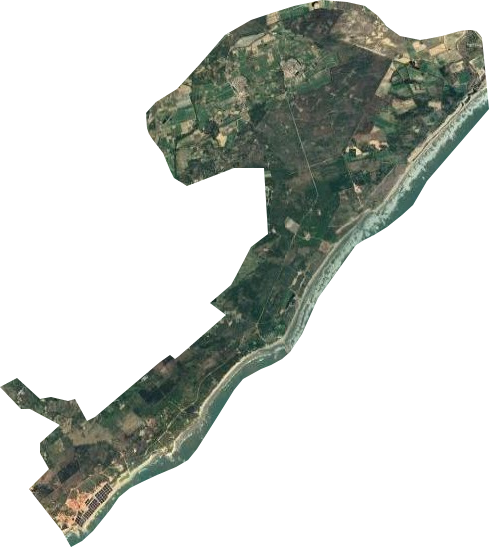 东海岸林场卫星图