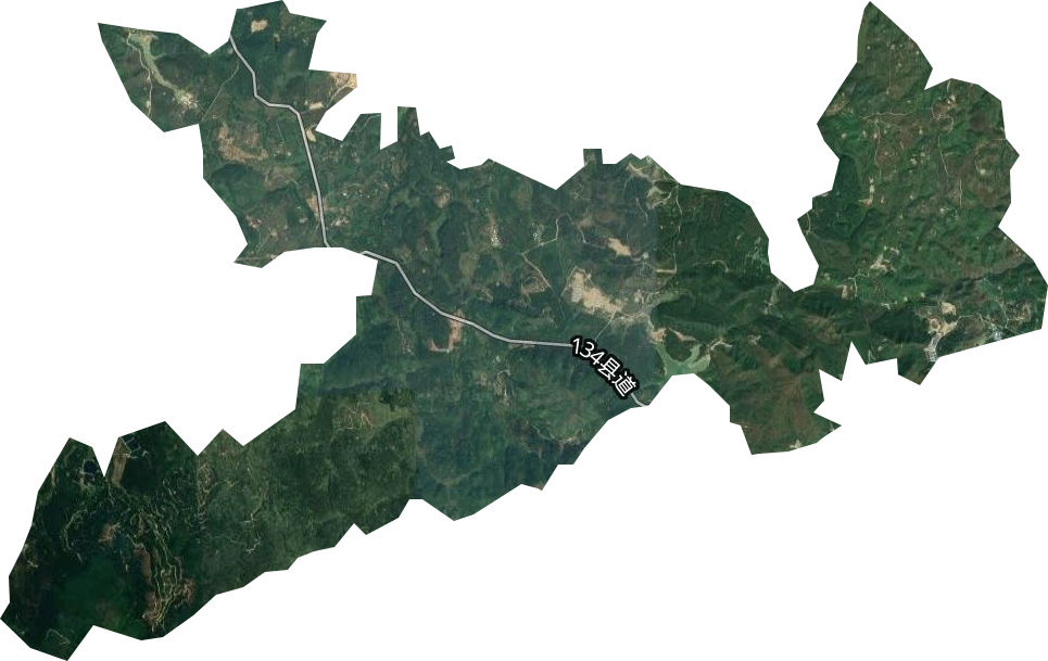 红岭林场卫星图