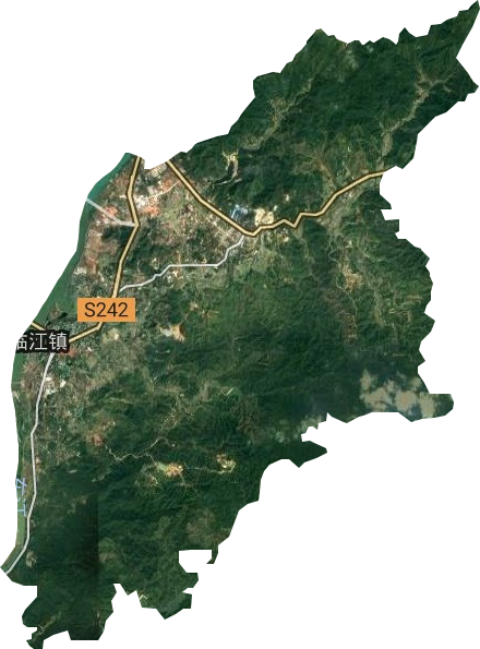 临江镇卫星图