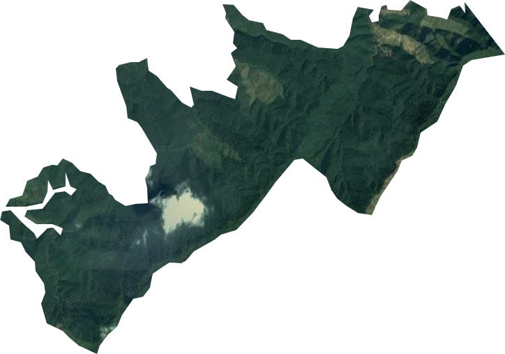 大云雾林场卫星图