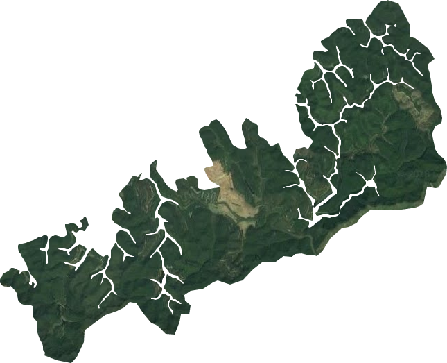 云浮市国有水台林场卫星图
