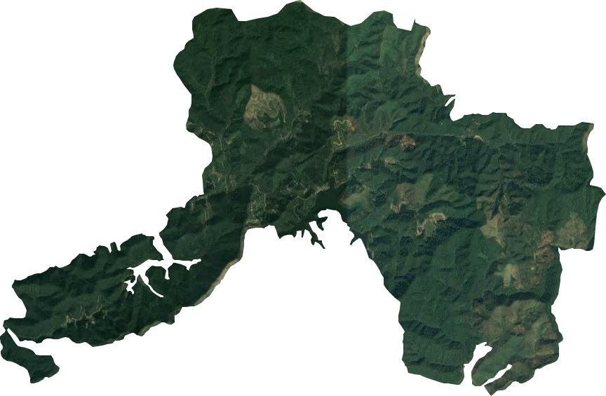 国营新兴县岩头林场卫星图