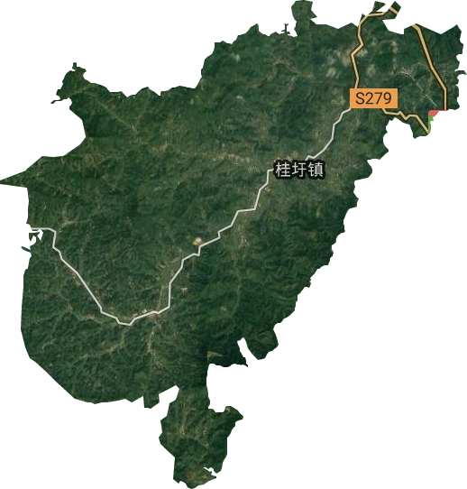 桂圩镇卫星图