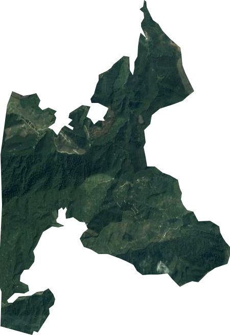 同乐林场卫星图