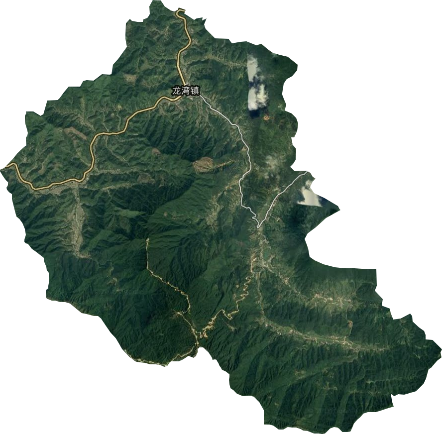 龙湾镇卫星图