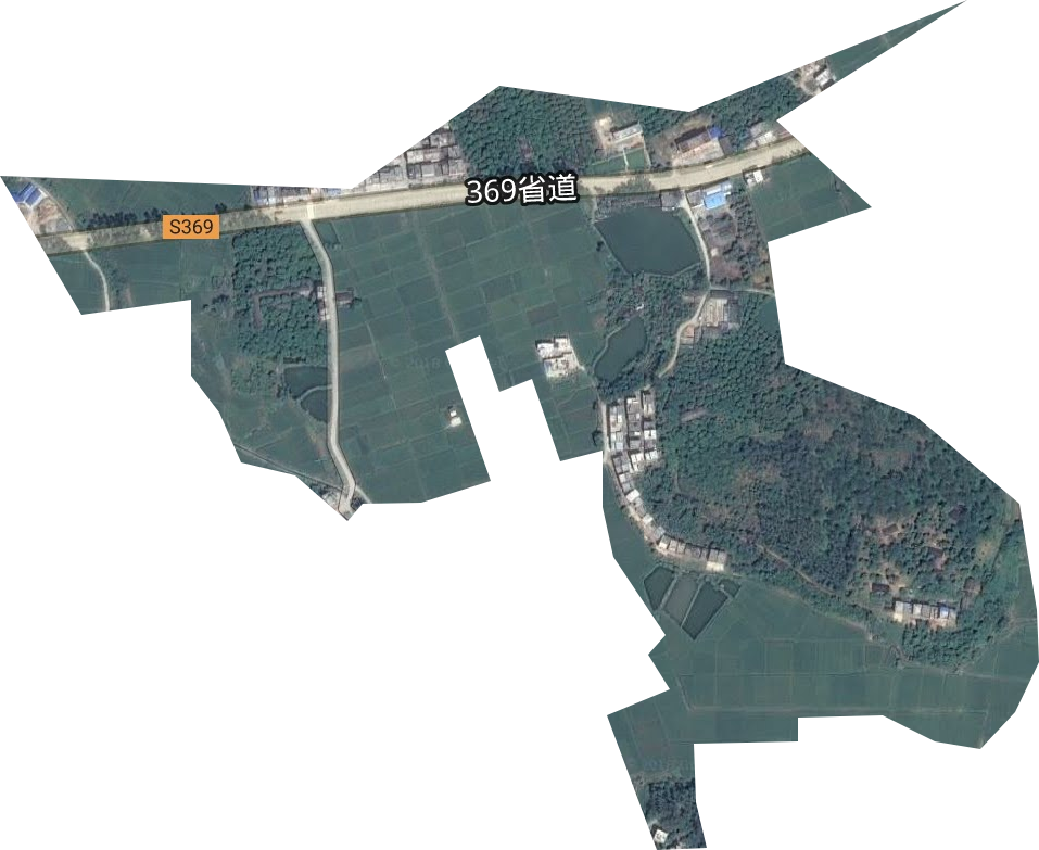 罗平农场卫星图