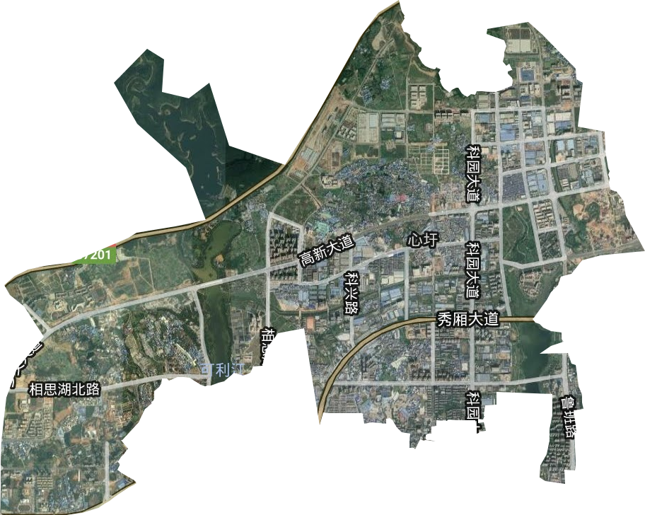 心圩街道卫星图