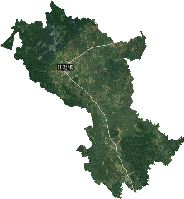仙湖镇卫星图