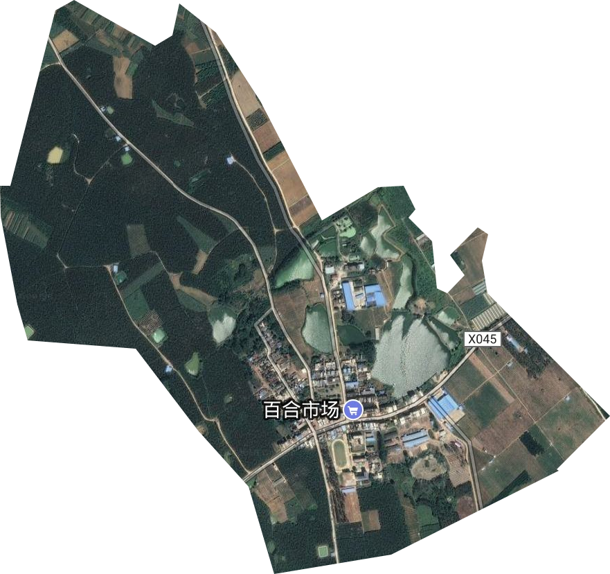百合农场卫星图