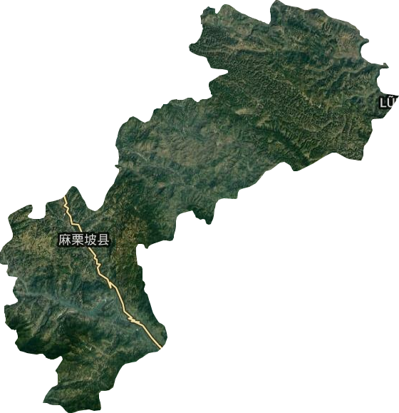 麻栗坡县卫星图