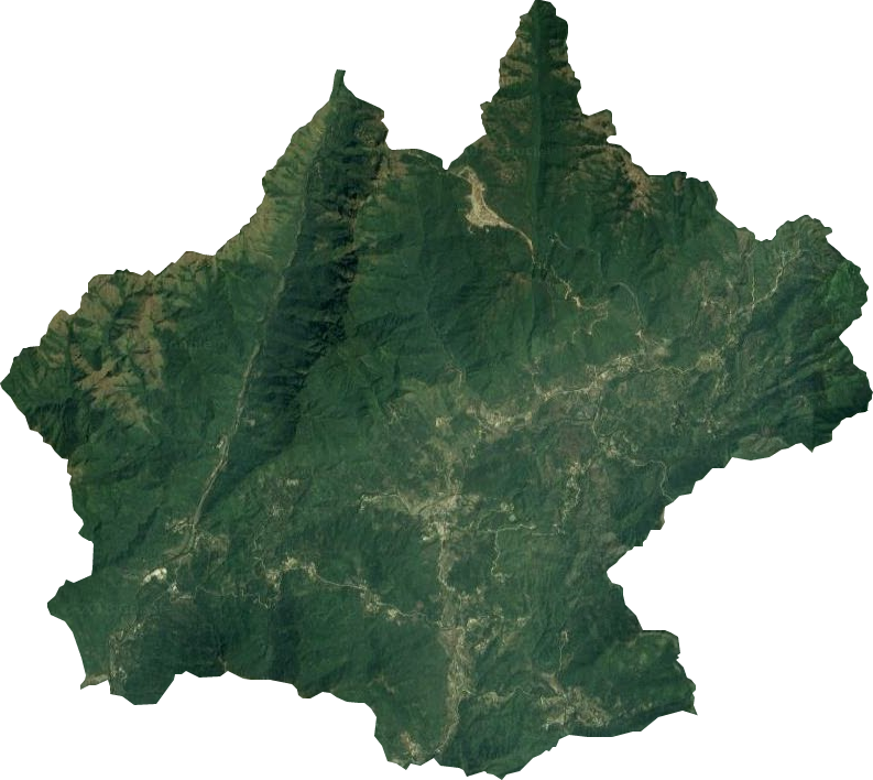 十万山华侨林场卫星图