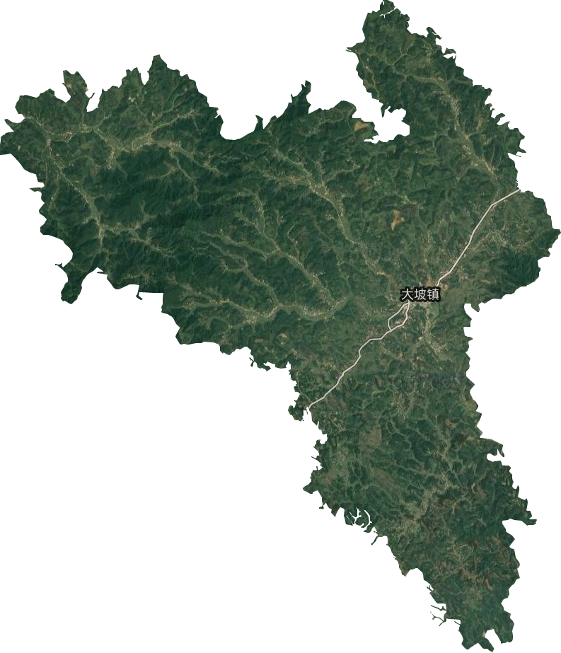 大坡镇卫星图