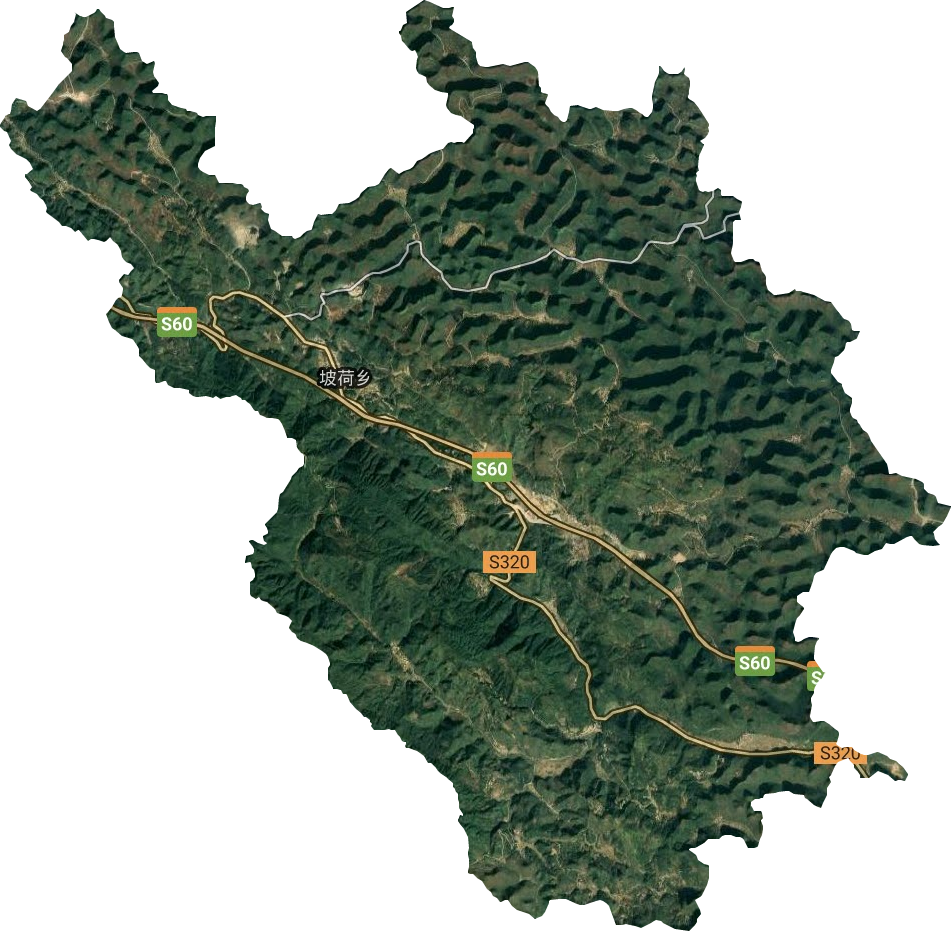 坡荷乡卫星图