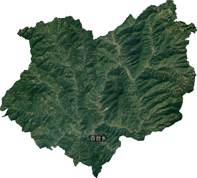 百合乡卫星图