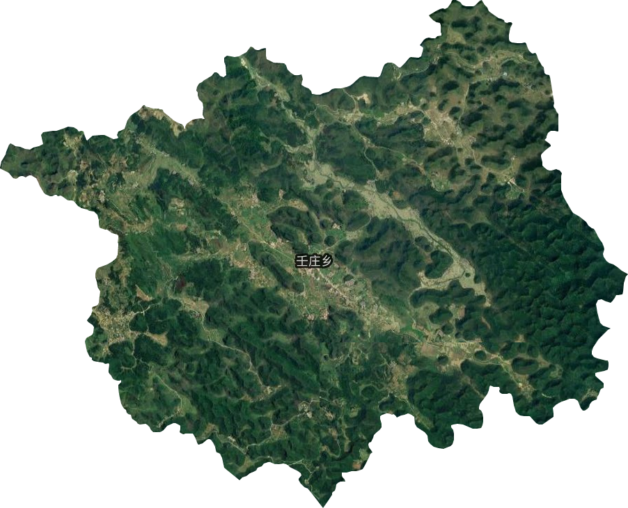 壬庄乡卫星图