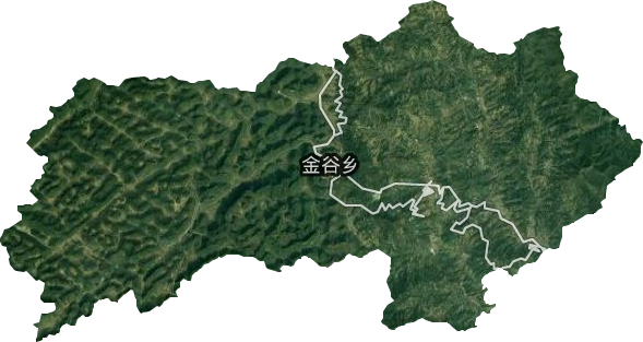 金谷乡卫星图