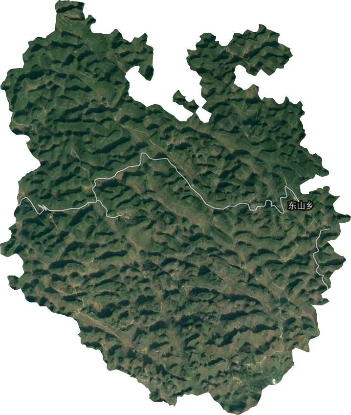 东山乡卫星图