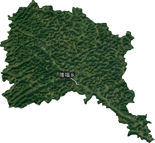隆福乡卫星图