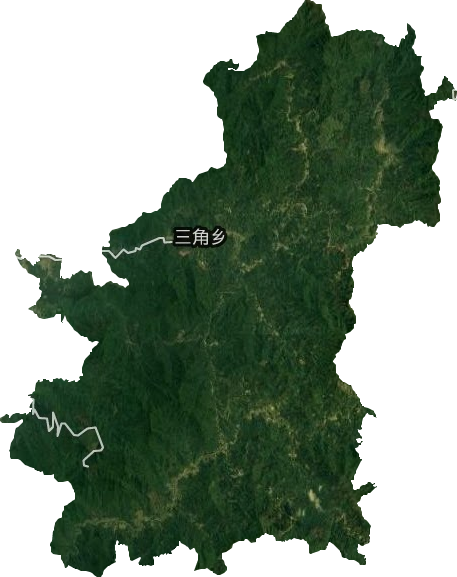 三角乡卫星图