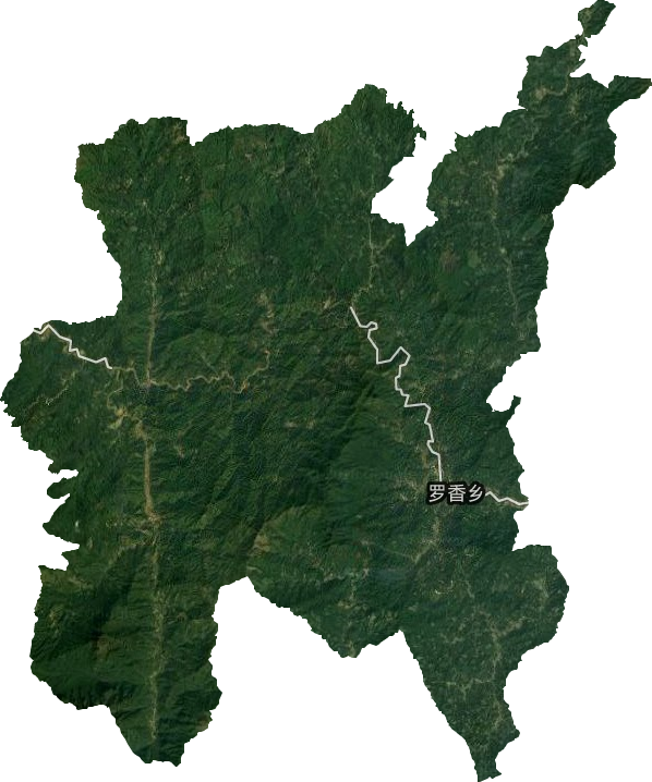 罗香乡卫星图