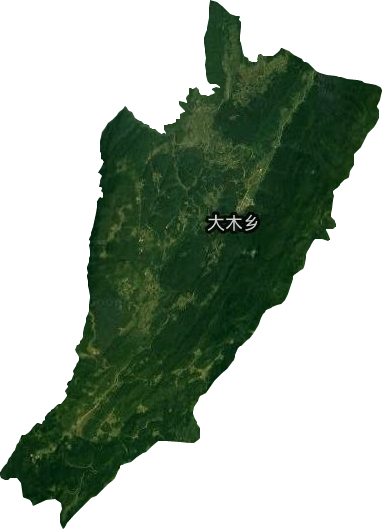 大木乡卫星图