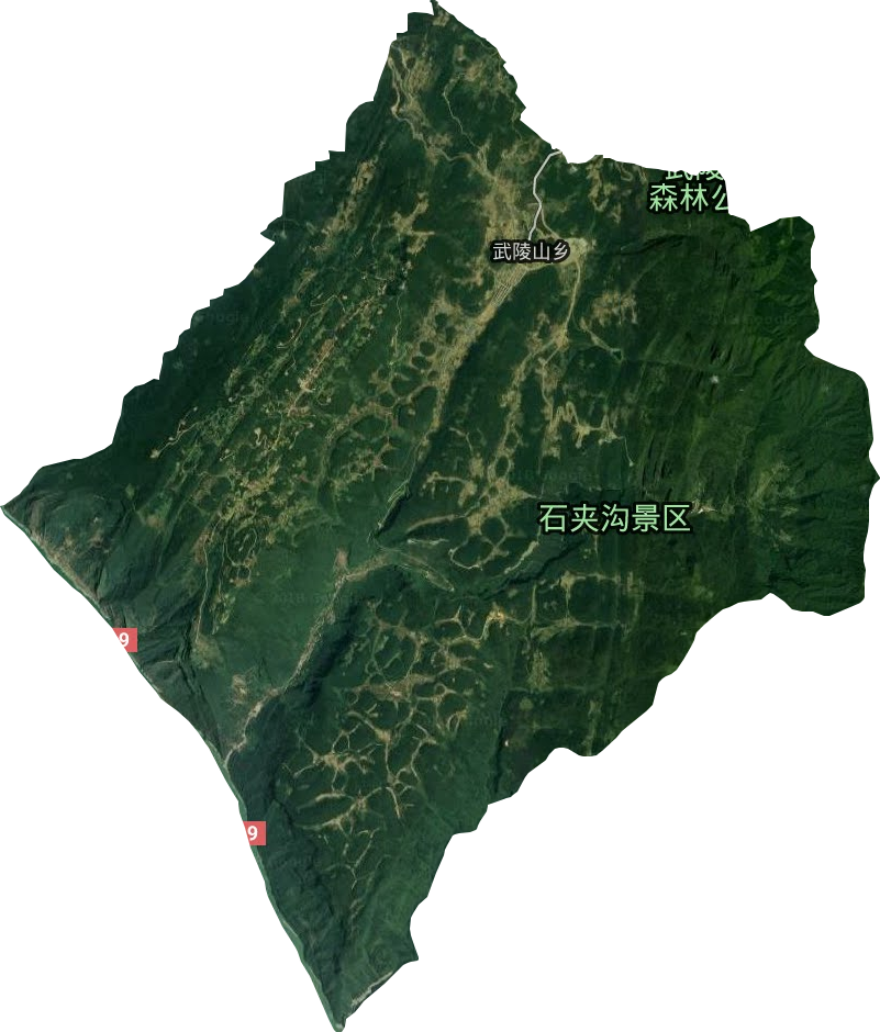 武陵山乡卫星图