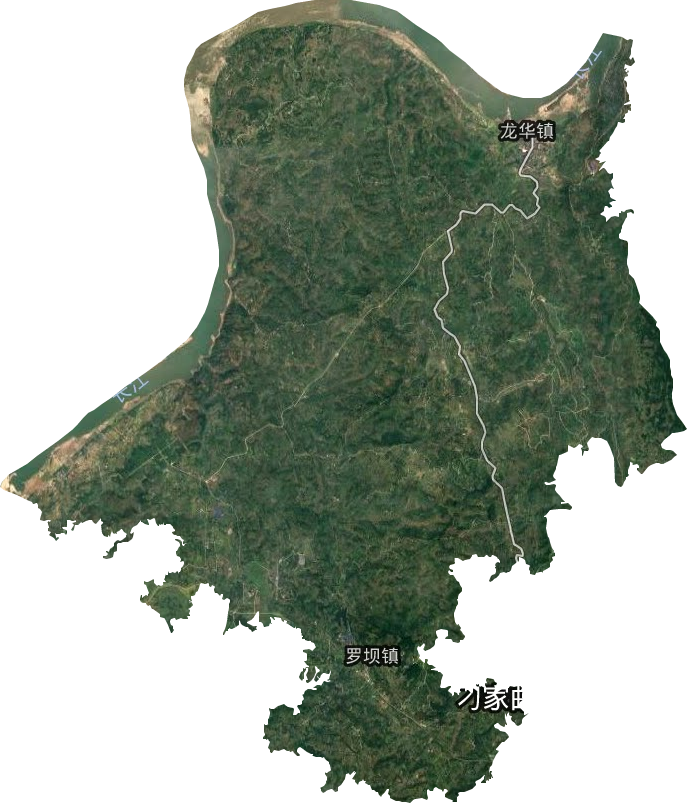 龙华镇卫星图