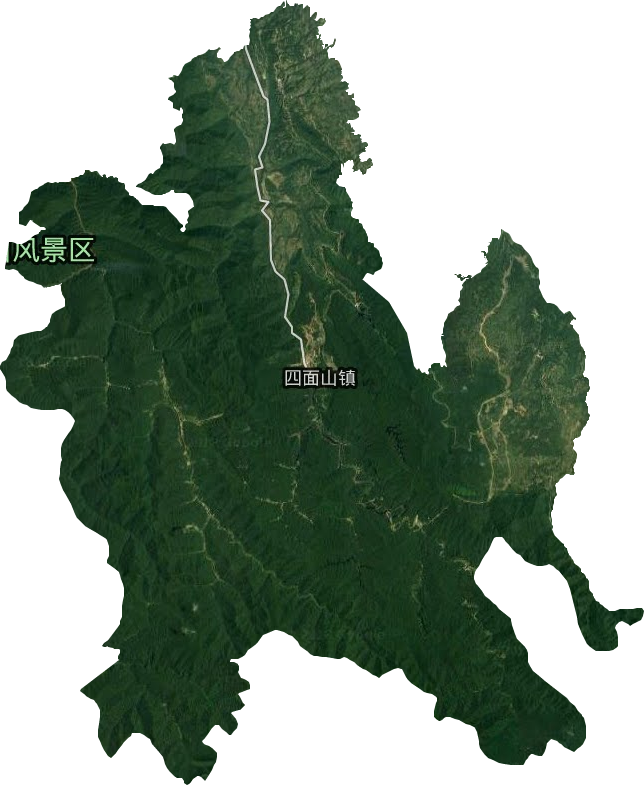 四面山镇卫星图
