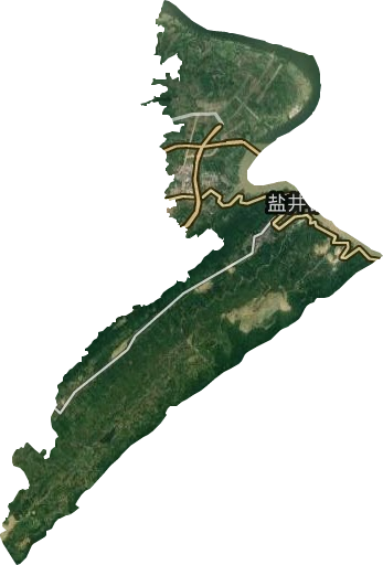 盐井街道卫星图