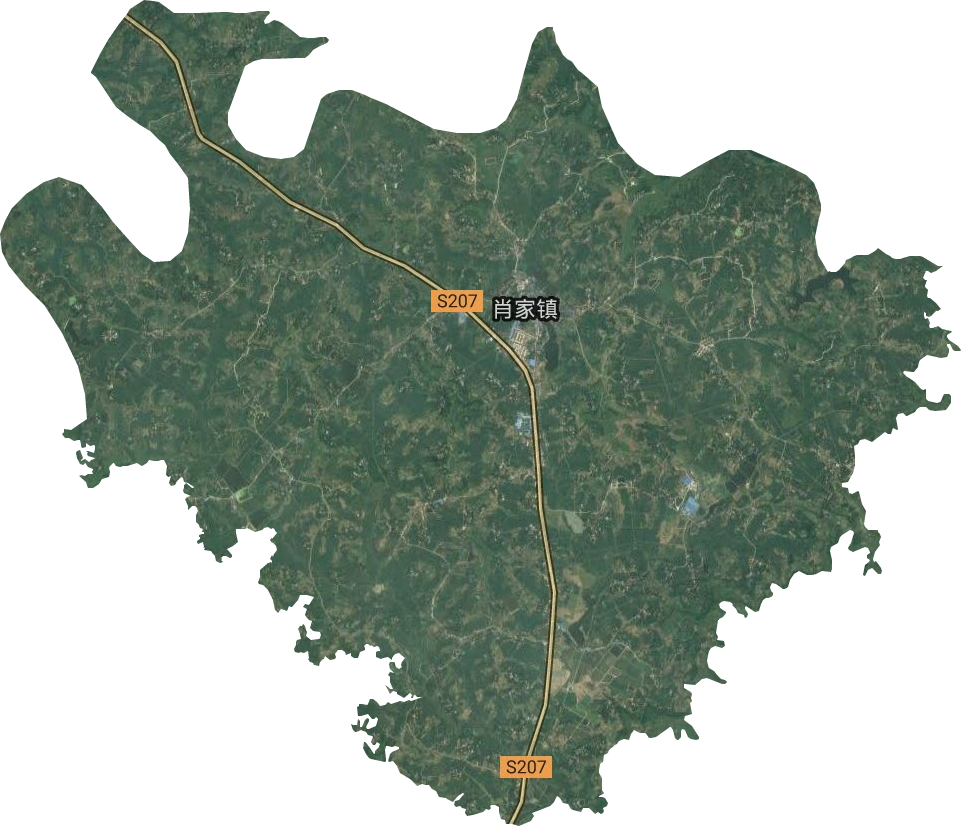 肖家镇卫星图