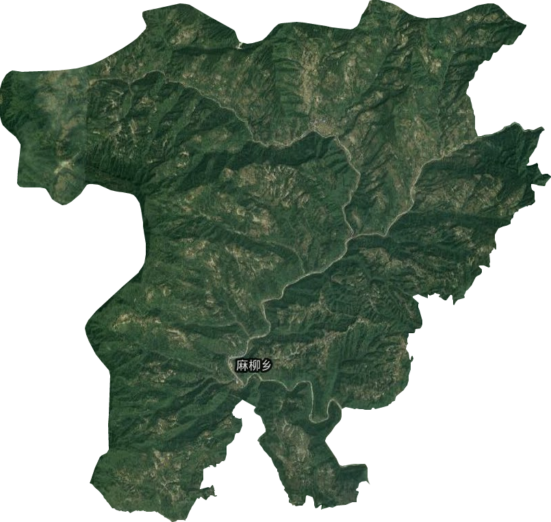 麻柳乡卫星图