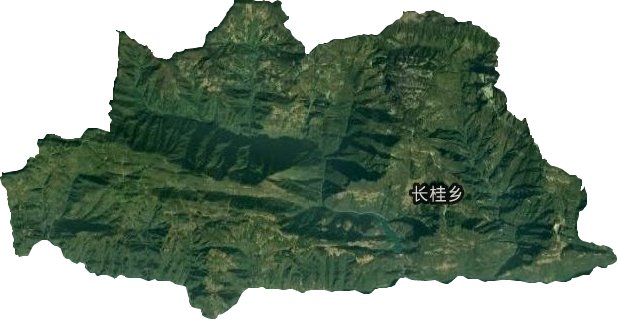 长桂乡卫星图