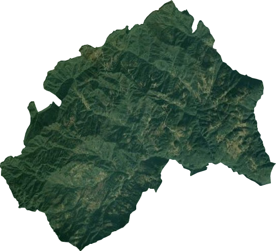 金竹乡卫星图