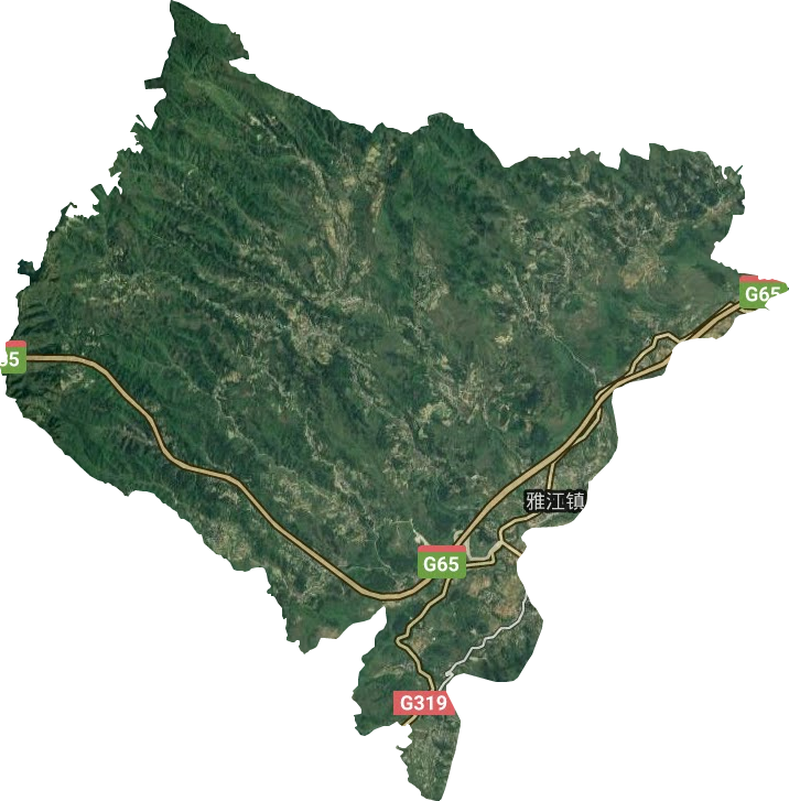 雅江镇卫星图