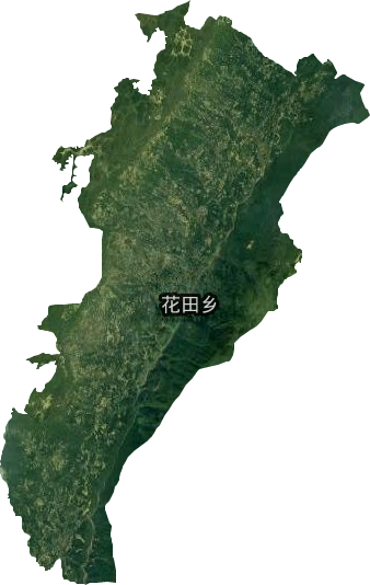 花田乡卫星图