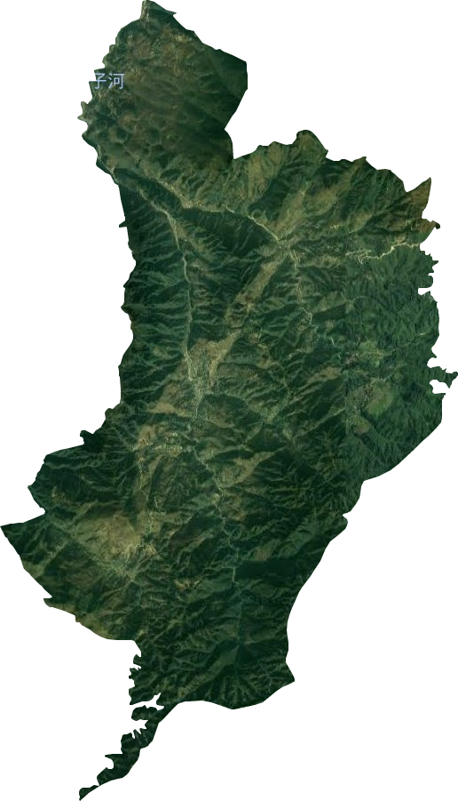 楠木乡卫星图