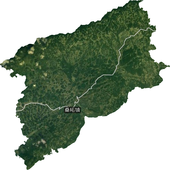 桑柘镇卫星图