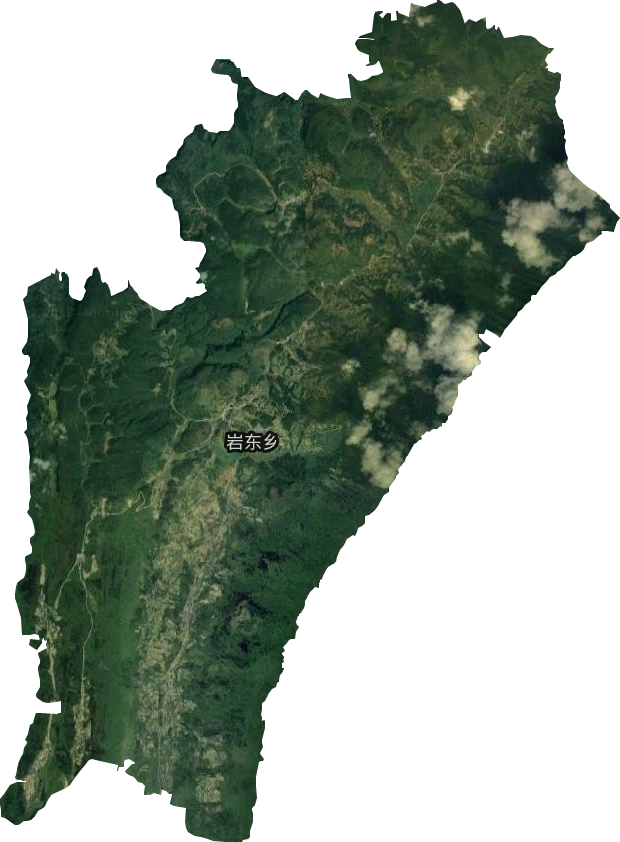 岩东乡卫星图