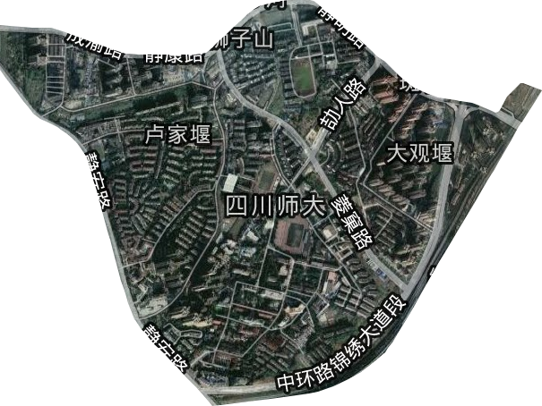 狮子山街道卫星图