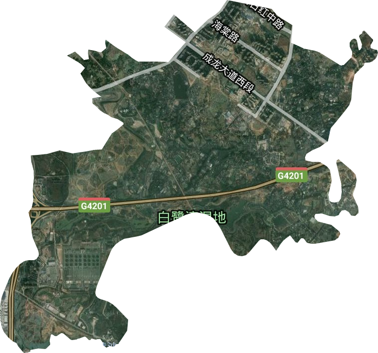 三圣街道卫星图